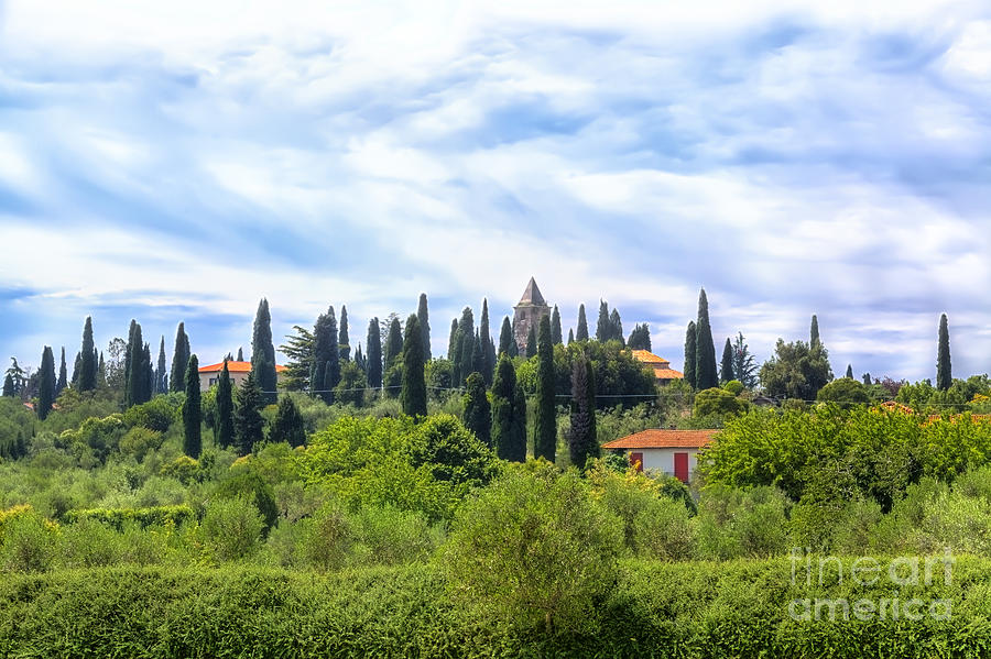 A landscape like in the Tuscany Photograph by Gina Koch