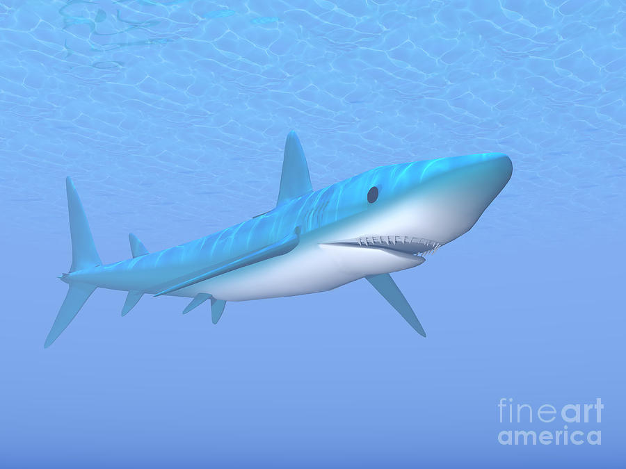 A Large Blue Shark Swimming Quietly Digital Art by Elena Duvernay - Pixels