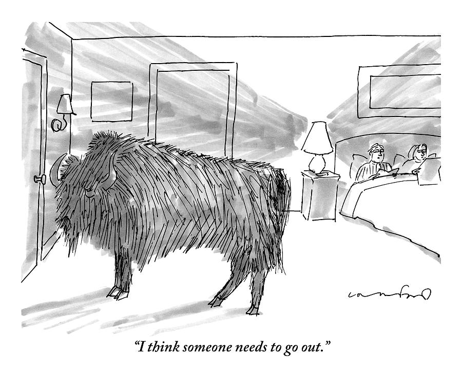 Dog Drawing - A Large Buffalo Stands Near The Door by Michael Crawford