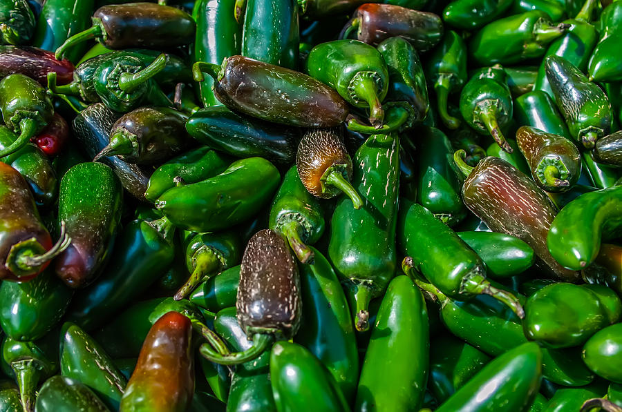A large group of pretty Jalapeno peppers Photograph by Alex Grichenko
