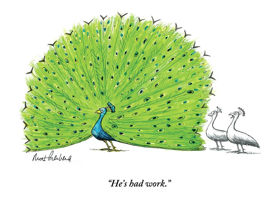 A Large Peacock With Its Feathers Out Is Admired Drawing by Mort Gerberg