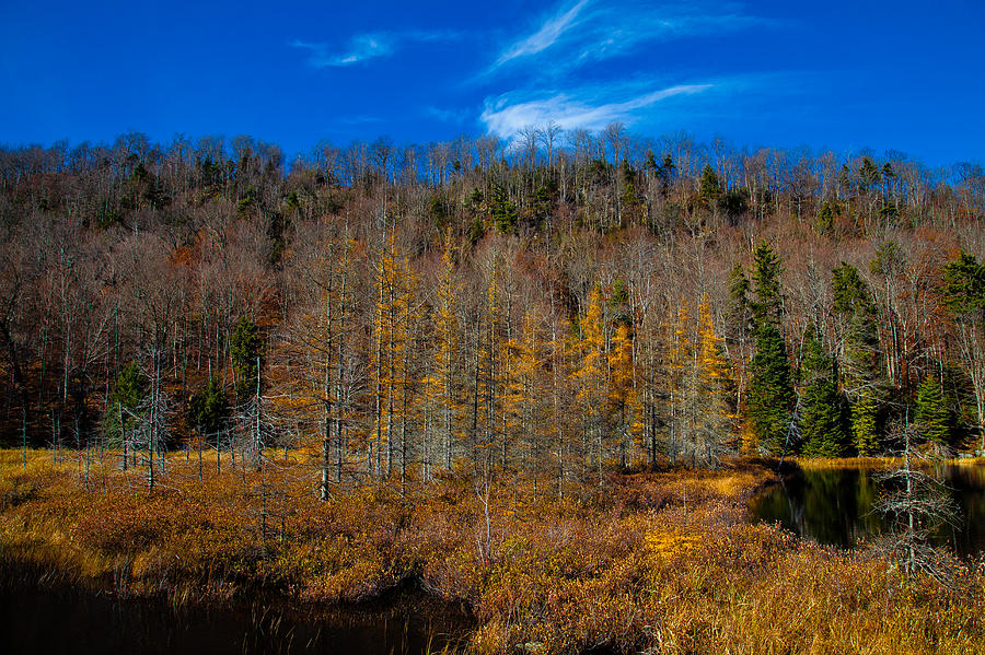 A Late October Day on Bald Mountain Pond Photograph by David Patterson