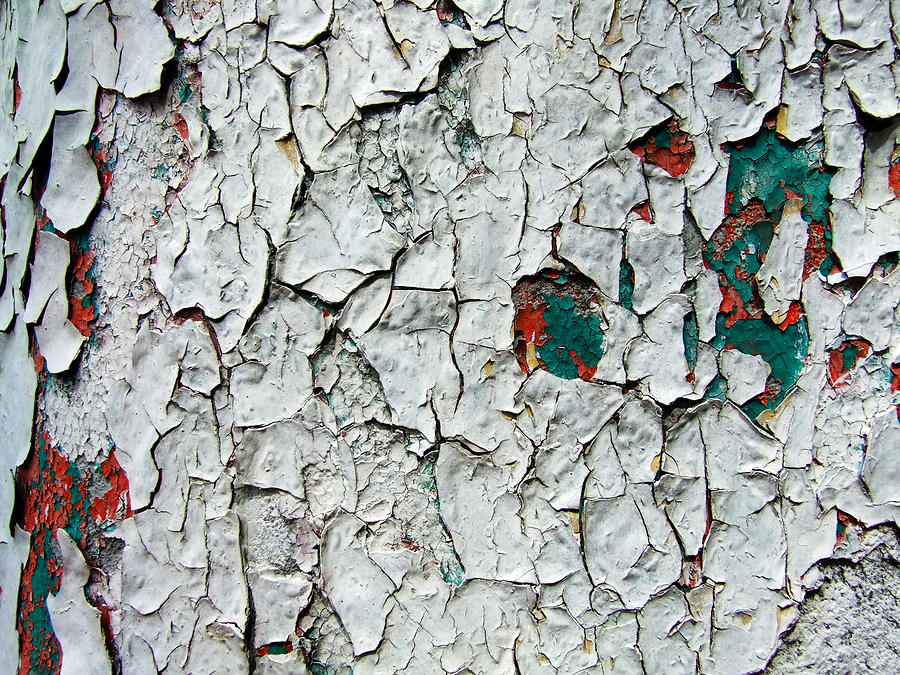 A Legacy in Peeling Paint Photograph by Robert Knight