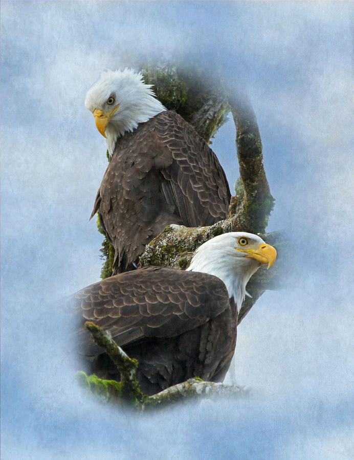 Eagle Photograph - A Life-long Bond by Angie Vogel