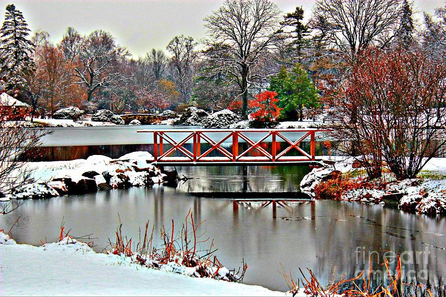 A Light Dusting Of Snow Photograph by Judy Palkimas