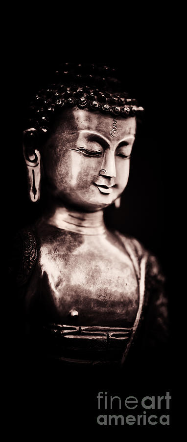 Buddha Photograph - A Light in the Dark by Tim Gainey