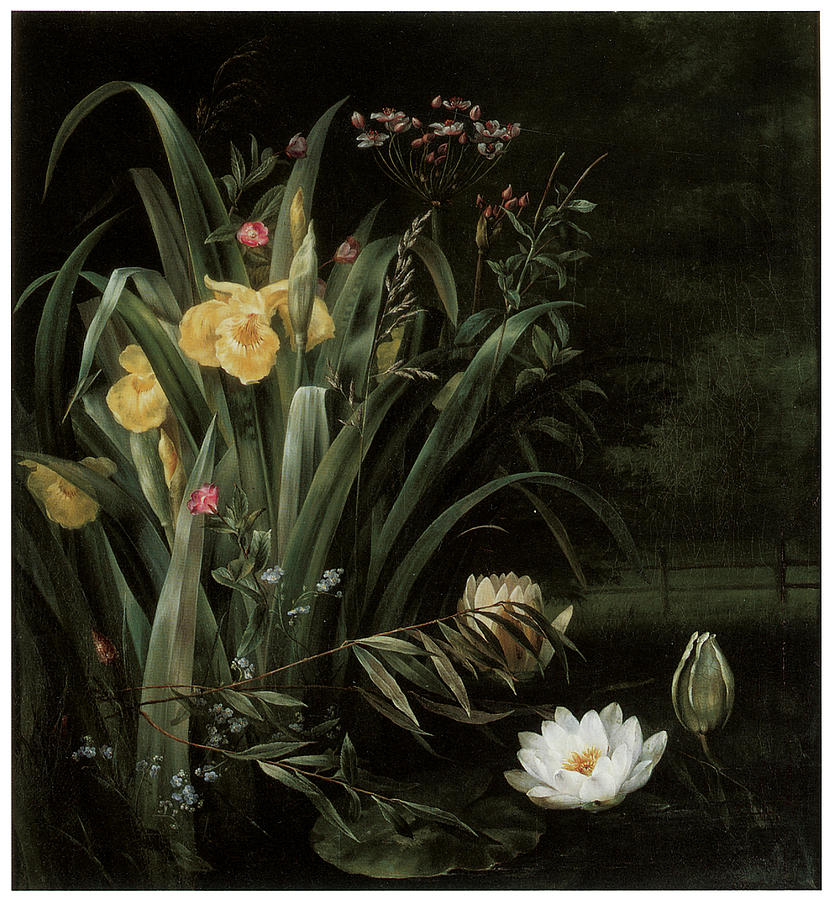 Iris Painting - A Lily Pond by Hermania Sigvardine Neergard