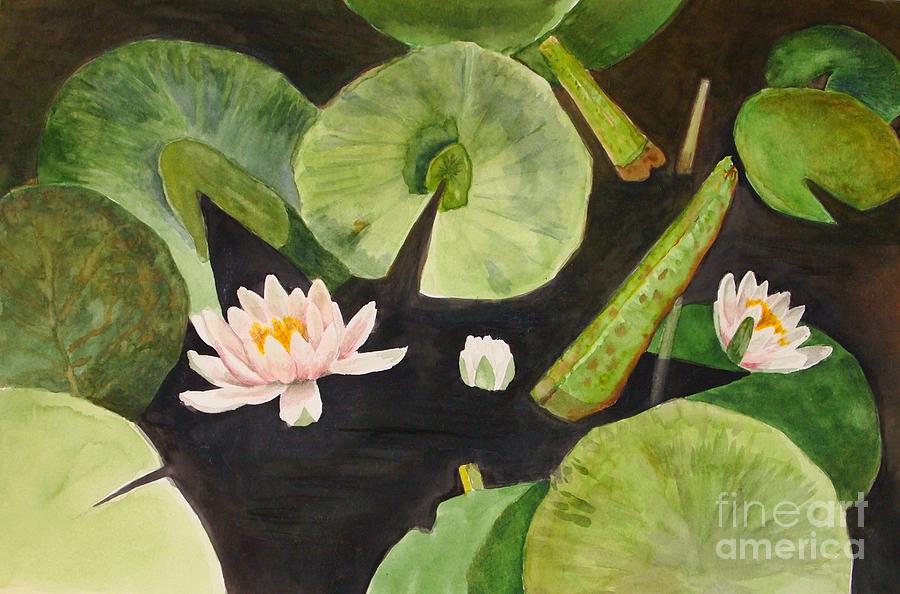 A Lily Pond Painting by Nancy Kane Chapman