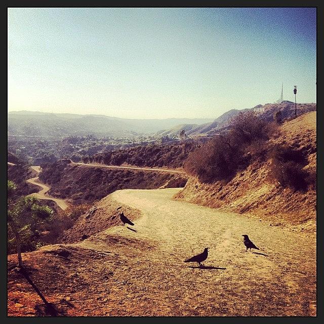 Hike Photograph - A Little Afternoon Cardio. #hike #la by Tyler Lynch