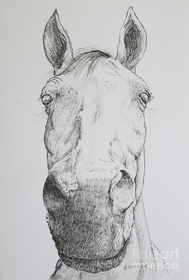 Black And White Drawing - A Little Closer Please by Alice Brunner