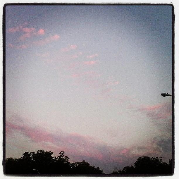 A Little Cotton Candy In The Morning Photograph by Lauren Vineyard