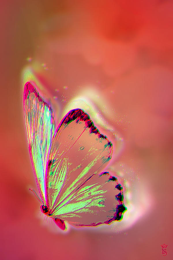 Butterfly Photograph - A little magic by Li   van Saathoff