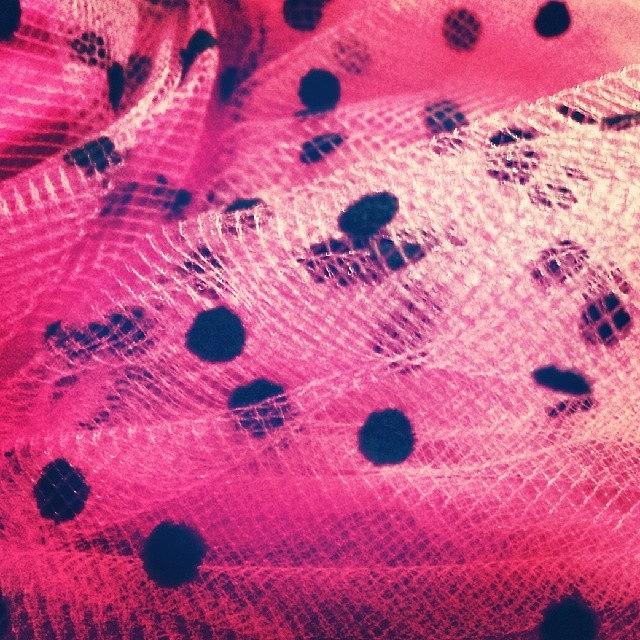 Pink Photograph - A Little More Subtle. #tulle #polkadot by Kimberly Speranza