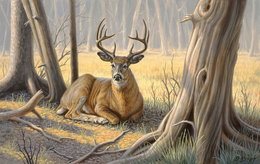Wildlife Painting - A Little Shade by Paul Krapf