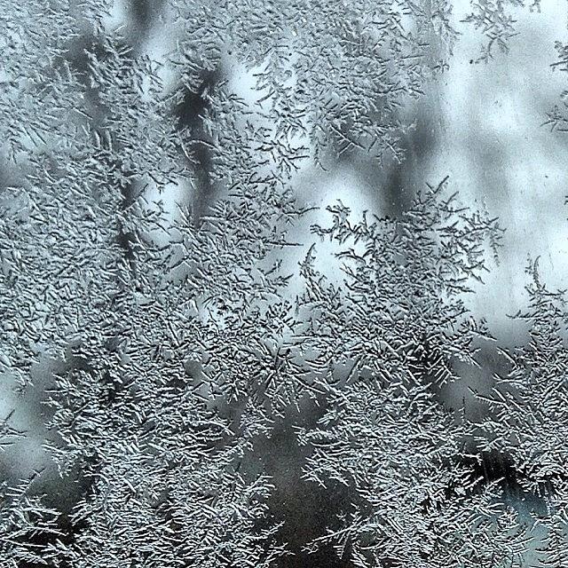 Connecticut Photograph - A Little Visit From Jack Frost by Nicole DAleo