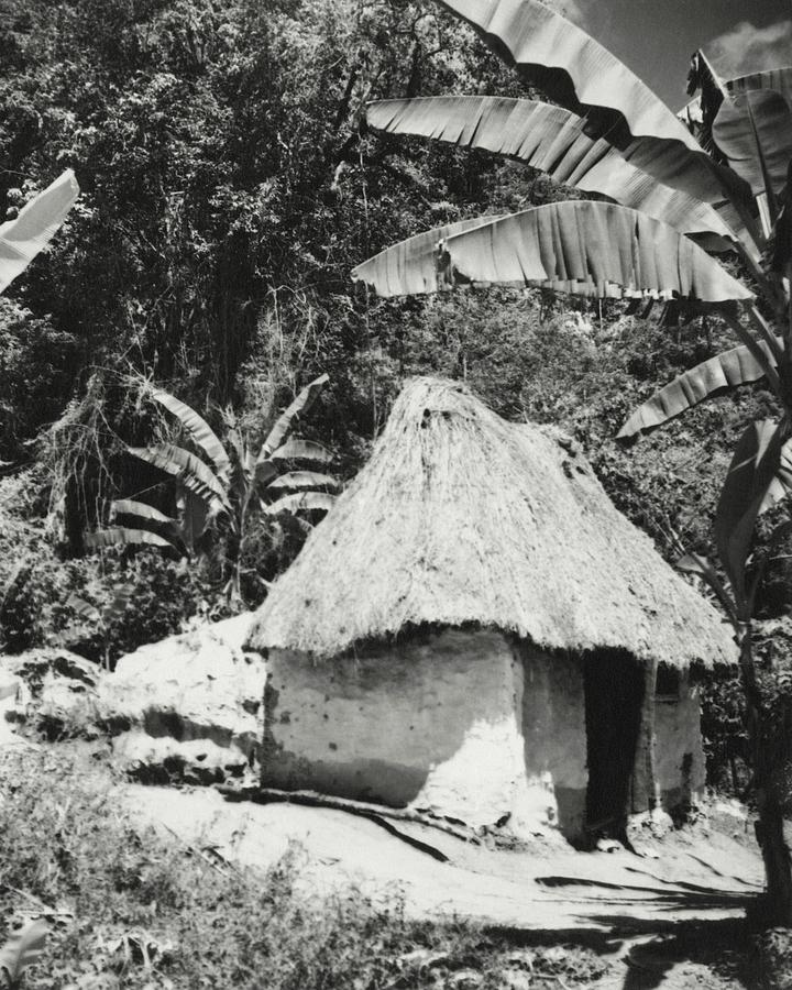 A Local Hut In Haiti Photograph by Cecil Beaton