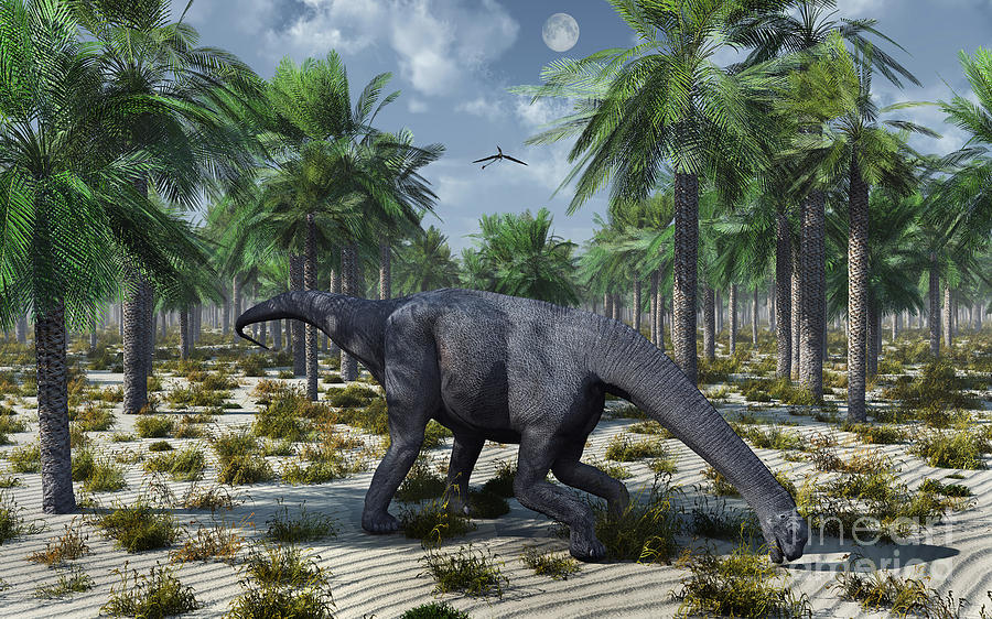 A Lone Camarasaurus Sauropod Dinosaur Digital Art