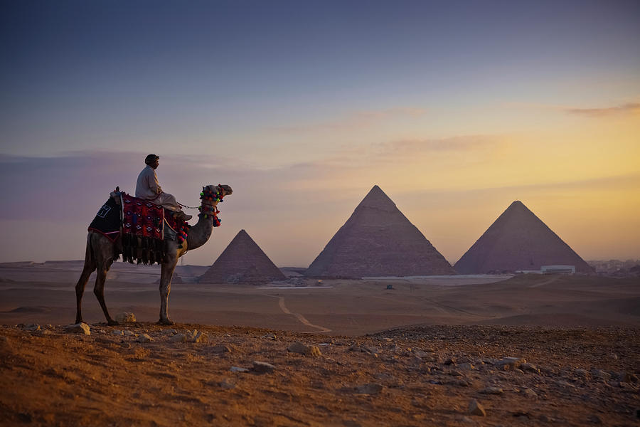 A Lone Camel And Rider Stand In Front Photograph by Matt Brandon - Fine ...