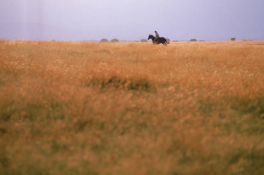 Africa Photograph - A Lone Horseback Rider by Jose Azel