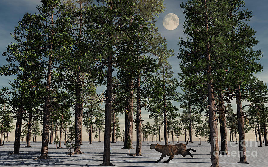 Winter Digital Art - A Lone Sabre-tooth Tiger Running by Stocktrek Images