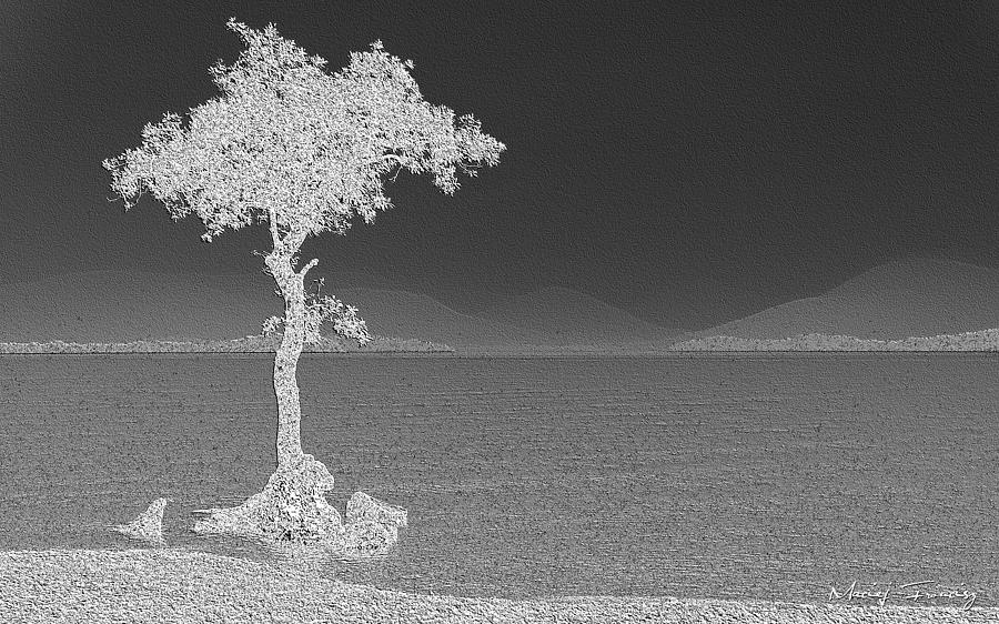 Lonely Tree Digital Art by Maciek Froncisz