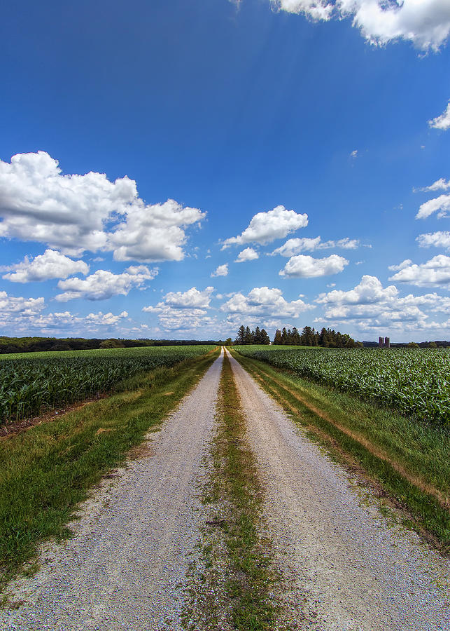 A Long Rural Road Photograph by Bill and Linda Tiepelman