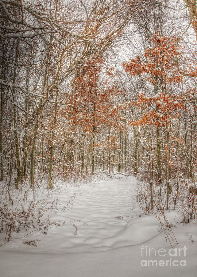 A Long Winter Journey Photograph by Pamela Baker