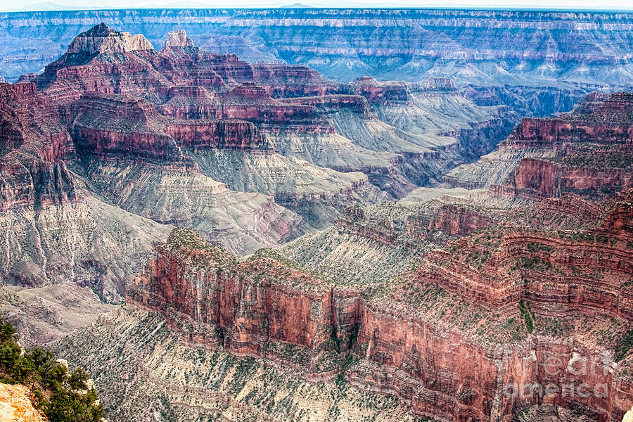 Grand Canyon Photograph - A Look Into The Grand Canyon  by James BO Insogna