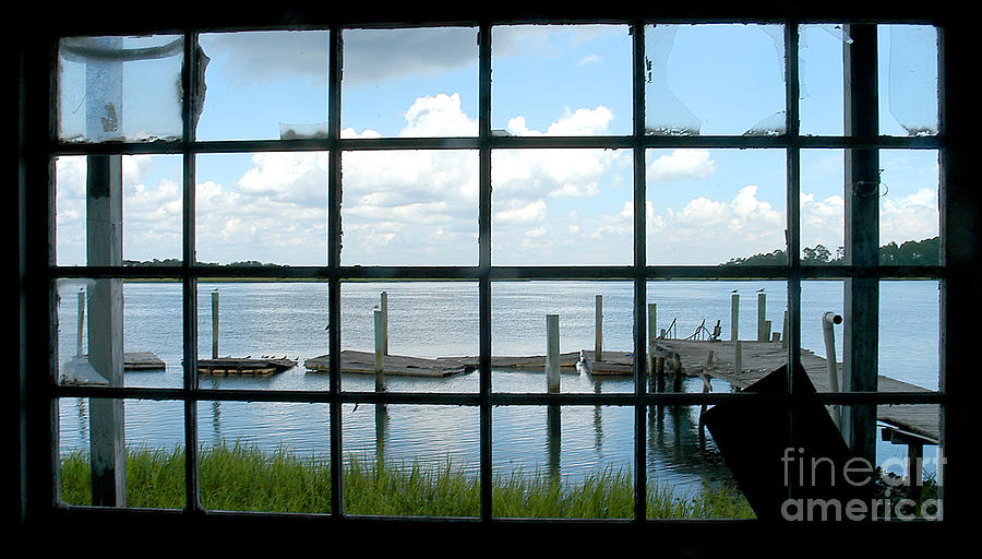 A Look Outside Photograph by Scott Hansen