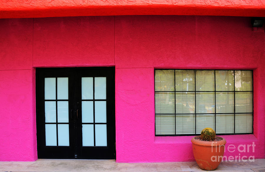 A Lot of Pink Photograph by Vivian Christopher