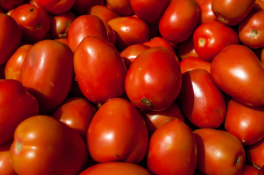 A Lot Of Red Tomatoes Background Photograph by Alex Grichenko