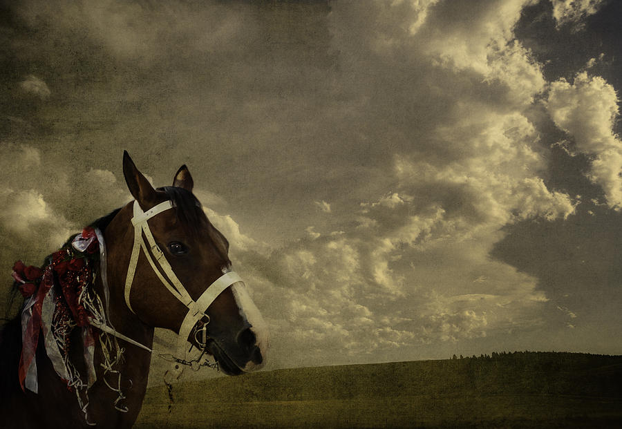 A Lovely Horse Digital Art by Eduardo Tavares