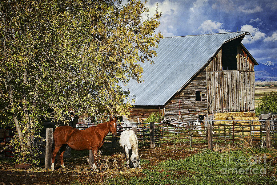 A Lovely Utah Farm Photograph by Priscilla Burgers
