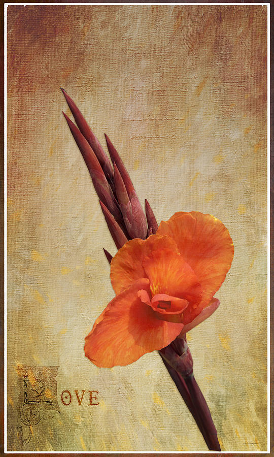 Flower Painting - A Loving Gladiolus by AGeekonaBike Photography