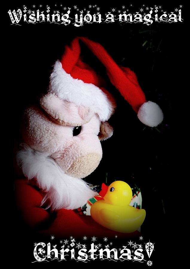A Magical Christmas Photograph by Piggy           