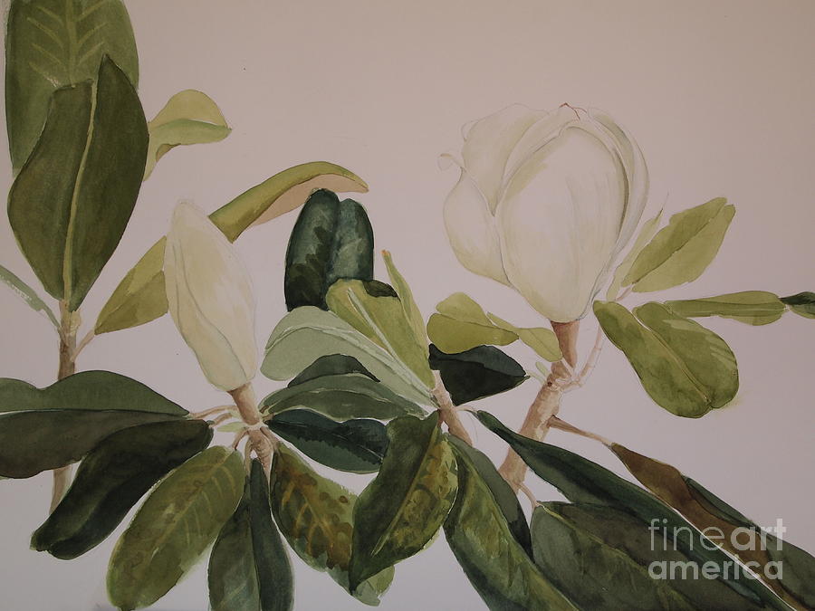 A Magnolia Duet Painting by Nancy Kane Chapman