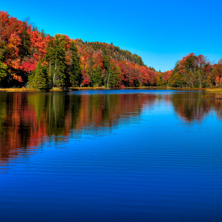 A Majestic Autumn at Bald Mountain Pond Photograph by David Patterson
