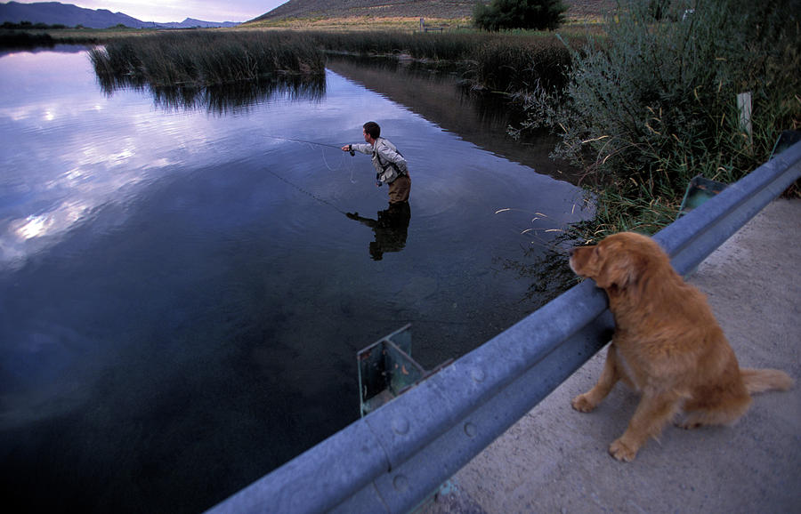 A Man And His Dog Fly Fishing Photograph by Corey Rich Fine Art America