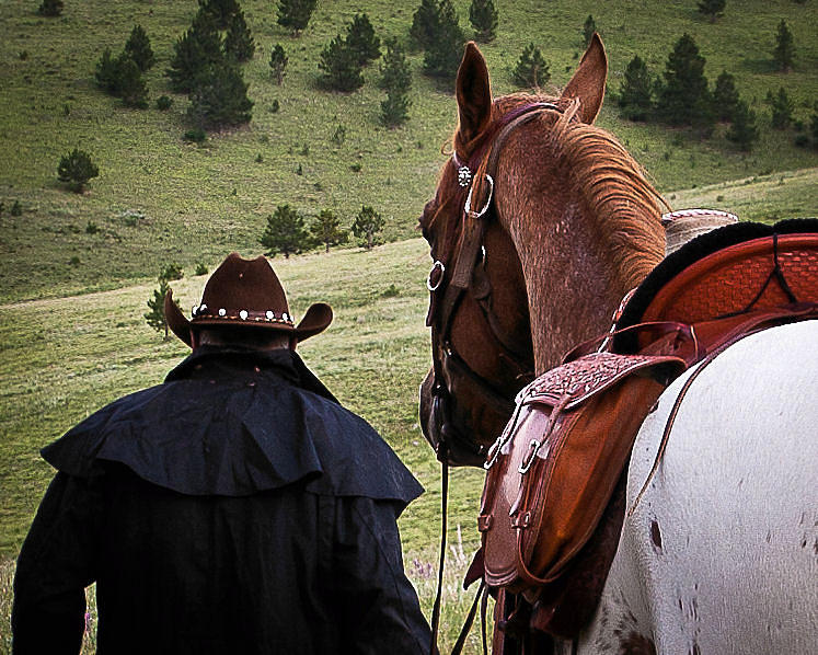 A Man and his Horse II Photograph by Steven Reed