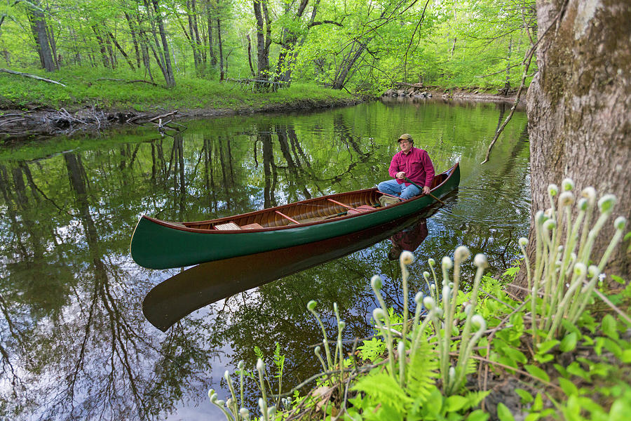 A Man Canoeing In Spring On The Lamprey Photograph by Jerry Monkman