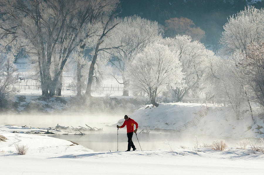 A Man Cross Country Skiing Near Frosted Photograph by Kennan Harvey A Man Cross Country Skiing Near Frosted Photograph by Kennan Harvey