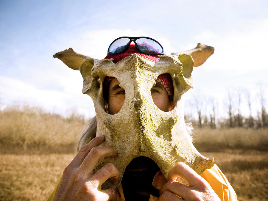 Cow Pelvis Found Object Nature Cleaned Bone Art -   Israel