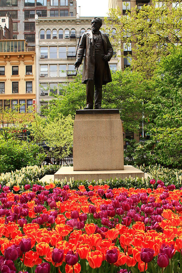 A Man in the Tulips Photograph by Catie Canetti