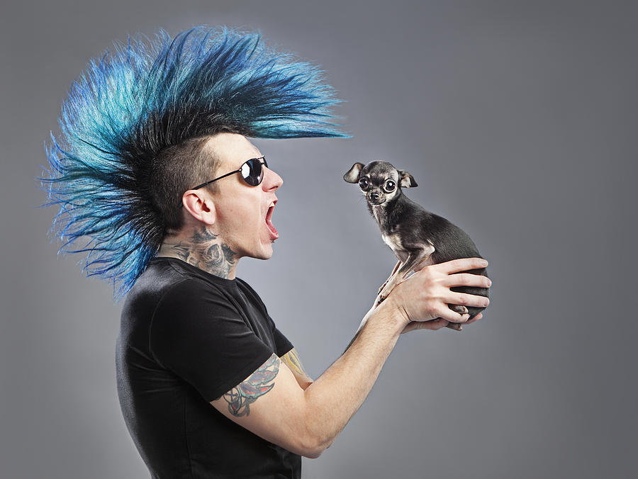 Animal Photograph - A Man With A Blue Mohawk Yells At His by Leah Hammond