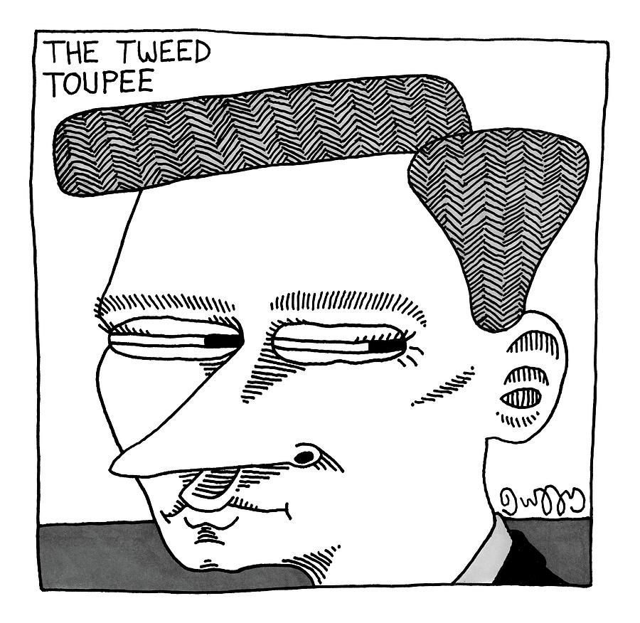 A Mans Head With A Tweed Toupee Drawing by J.C.  Duffy