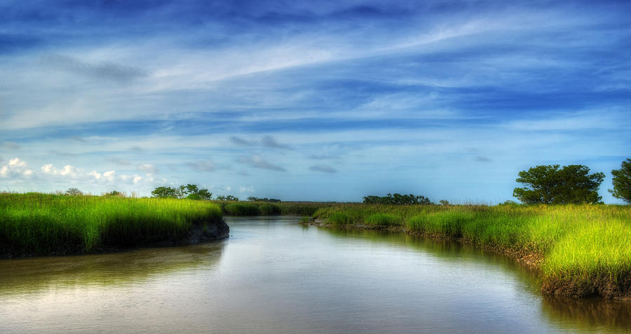 Nature Photograph - A Marsh at Jekyll Island by Greg and Chrystal Mimbs
