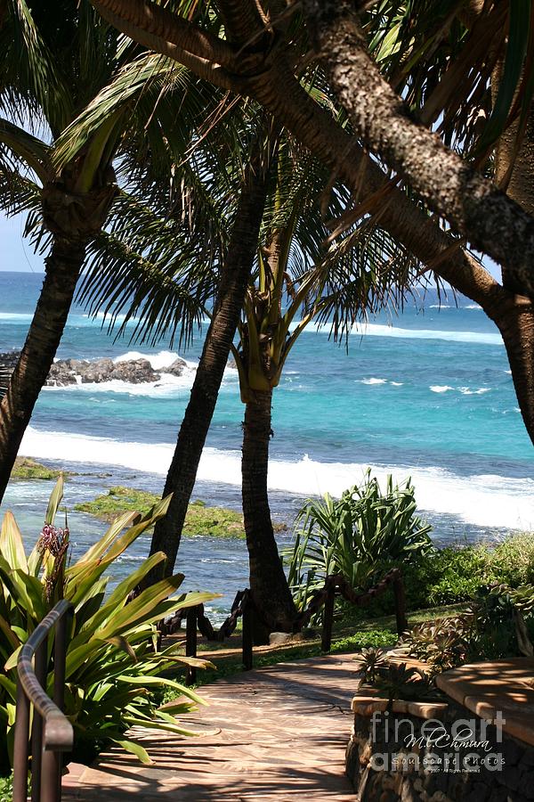A Maui Afternoon Photograph by Mary Lou Chmura