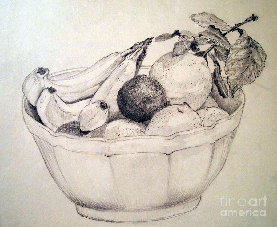 A Medley of Fruit Drawing by Nancy Kane Chapman