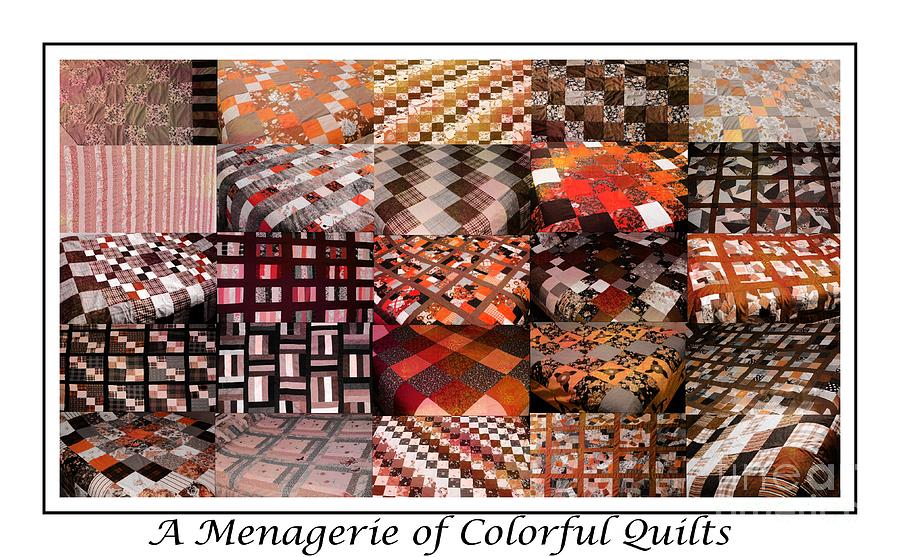 A Menagerie of Colorful Quilts -  Autumn Colors - Quilter Tapestry - Textile by Barbara A Griffin
