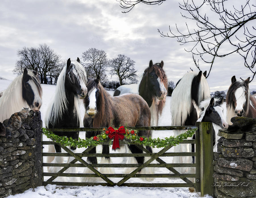 A Merry Gypsy Christmas Digital Art by Terry Kirkland Cook